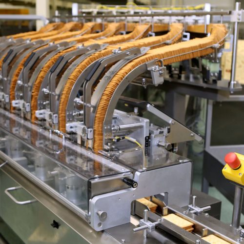 Large quantity of cookies on a production line before packaging in an automated factory